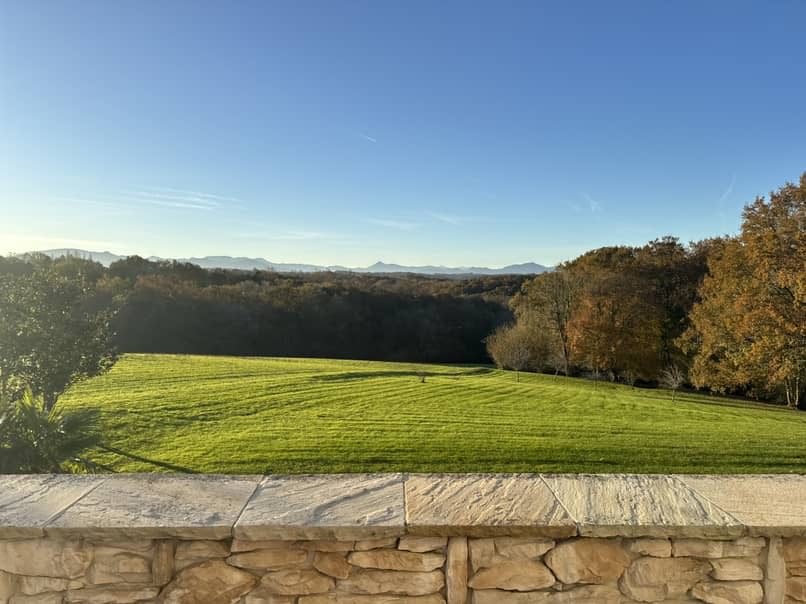 Surrounding land and woods